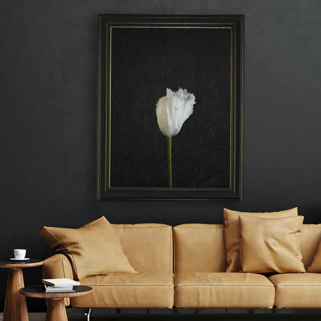 Photo Art Print - White Tulip on Black Stone
