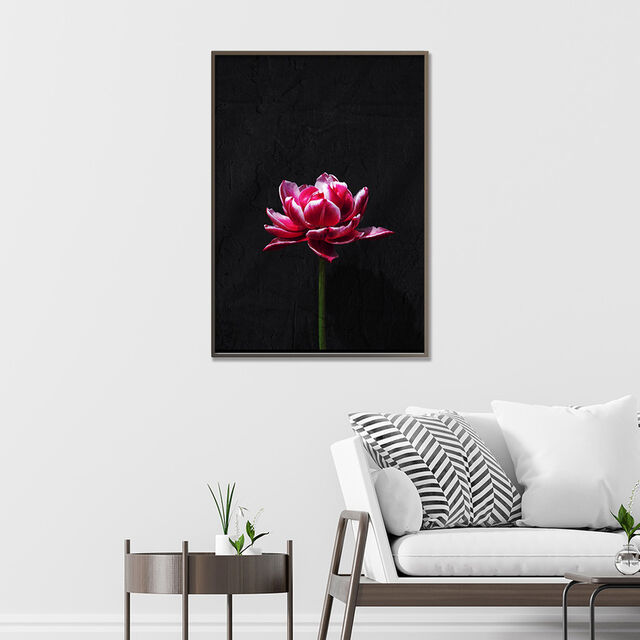 Photo Art Print - Dark Pink Double Tulip against Black Stone