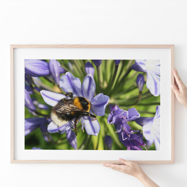 Art Print - Bee in Wildflowers - Digital Oil Painting