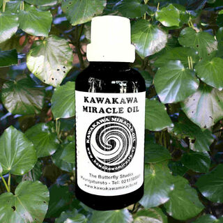 Organic Kawakawa Miracle Oil - 50ml