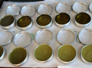 Kawakawa Balm Containers Being Filled