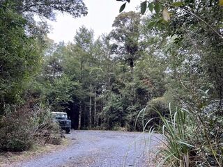 Kaimanawa Road Campsite