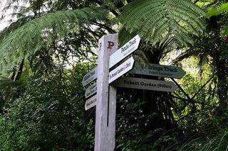 Pukeiti Gardens