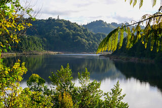 Lake Rotokare