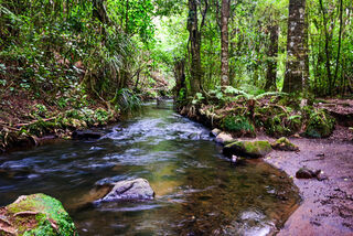 Rotokare / Barrett Reserve