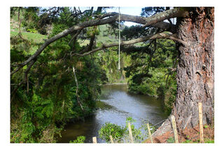 Glen Nui Reserve