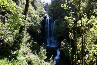 Waitanguru Falls
