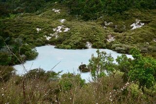 Te Kopia Scenic Reserve (Mud Pools)