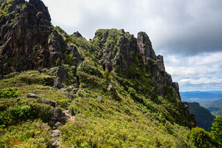 Kauaeranga Kauri Trail (Pinnacles Walk)