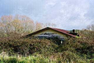 Abandoned House print - Pair