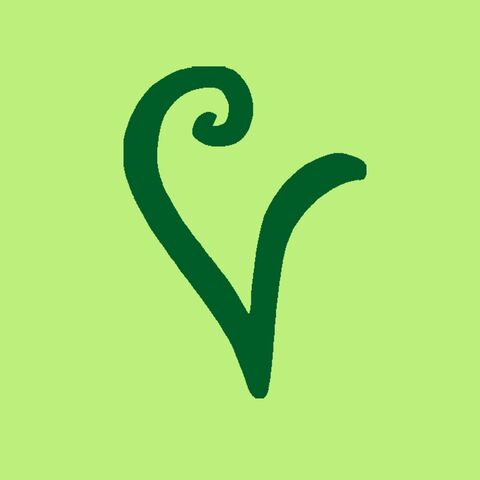 Vutter