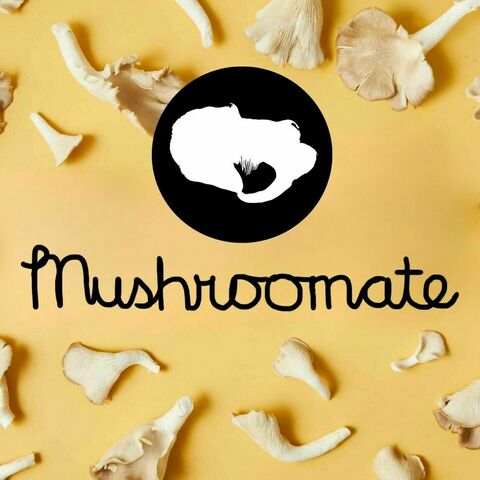 Mushroomate