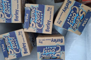 Scenic Coast Berley - Art of Fishing