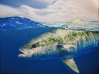 Fish Art Prints - Coromandel Fish and Kayak