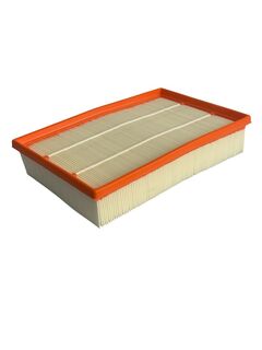 Genuine Ford Transit 2.0L Engine Air Filter 2016-2024
