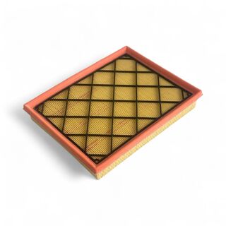 Genuine Ford Escape 2.0L Ecoboost Engine Air Filter 2020-2024