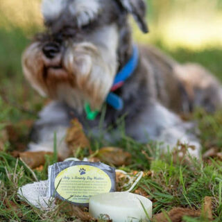 Itchy N Scratchy Shampoo Bar for Dogs