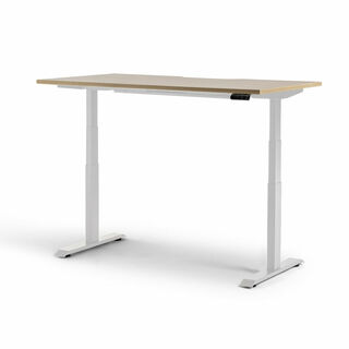 Rise Electric Height Adjustable Desk