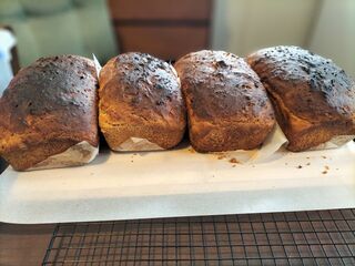 Bread