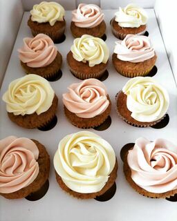 Premium Cupcakes