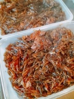 Sapa Sui