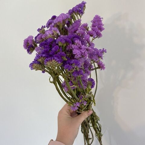 Dried Flowers | The Flower Lab