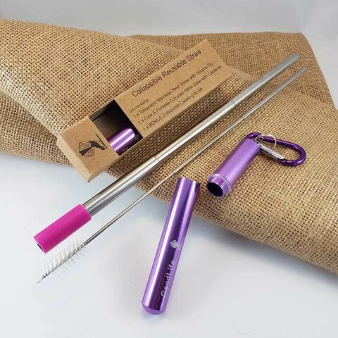 Straw Kit, Collapsible Reusable - Purple