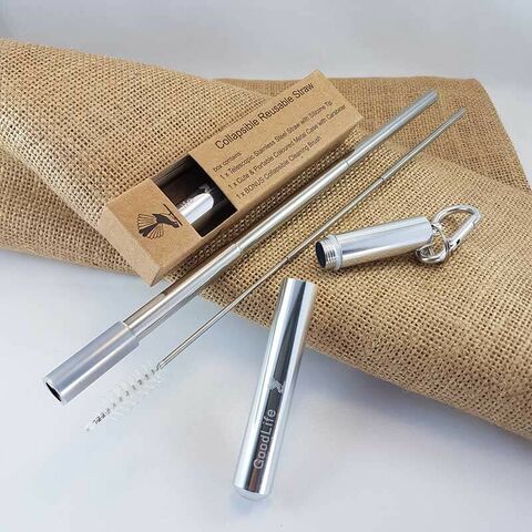 Straw Kit, Collapsible Reusable - Silver