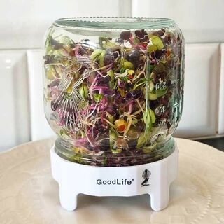 Sprouting Jar Kit 500 ml