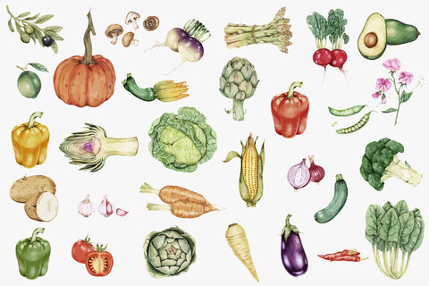 Vegetables