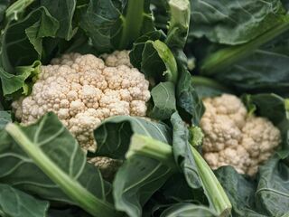 Cauliflower