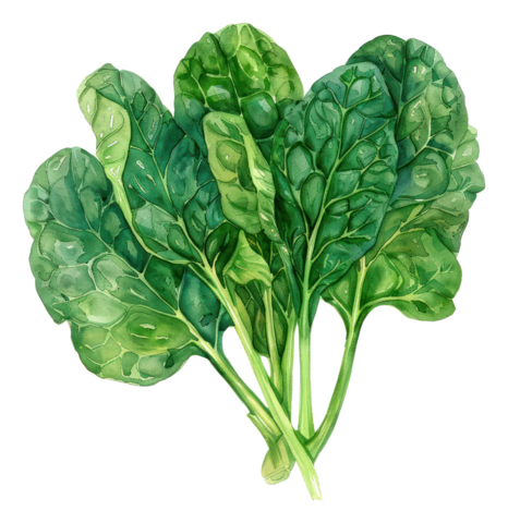 Spinach