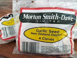 New Zealand Grown Elephant Garlic 4 Clove Pack