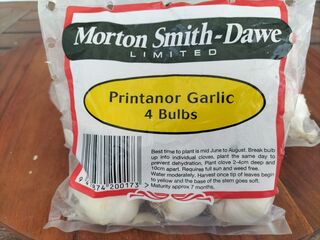 New Zealand Grown Printanor Garlic 4 Bulb Pack