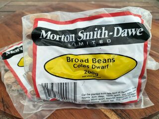 Broad Bean - Coles Dwarf 200g