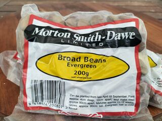 Broad Bean - Evergreen 200g