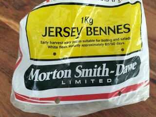 Jersey Bennes Seed Potato