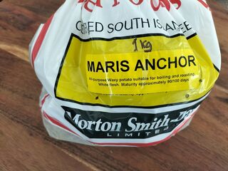 Maris Anchor Seed Potato