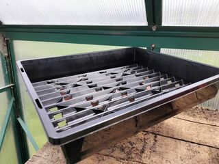 Propagation Tray