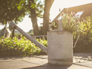 Potting Shed Watering