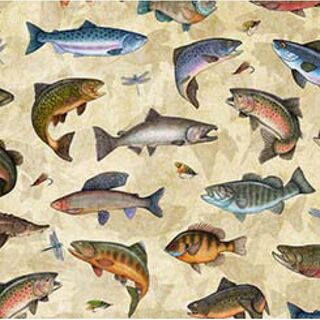 Fish Allover