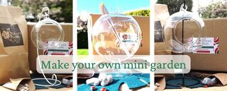 Terrarium Kits & Supplies