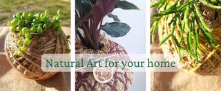 Kokedama