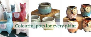 Planter Pots
