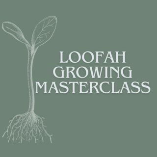 Growing Loofah Masterclass