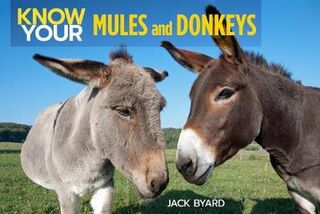 Know Your Mules and Donkeys