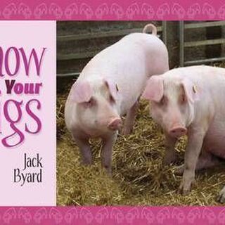 Know Your Pigs