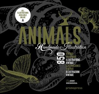 Animals -850 Handmade Illustrations