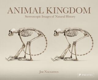 Animal Kingdom Stereoscopic