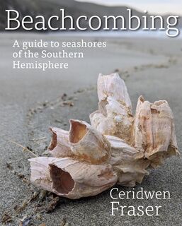 Beachcombing: A Guide to Seashores of the Southern Hemisphere